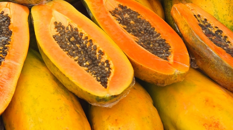 Large fruits papaya