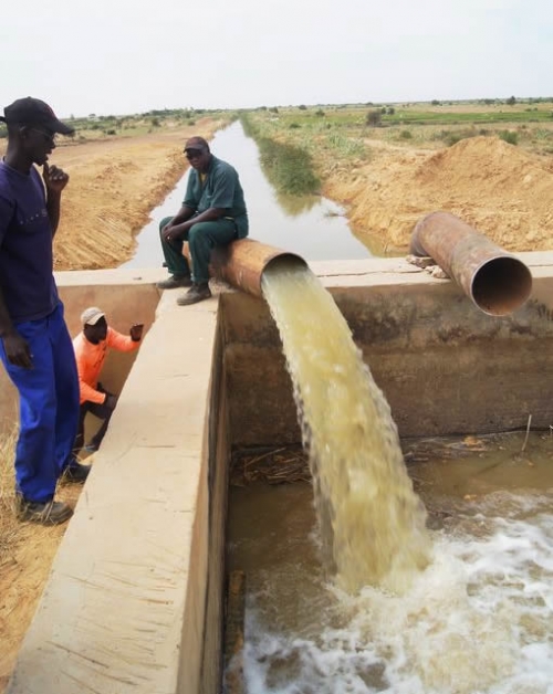 Système De Tuyau De Pompage D'irrigation Photo stock - Image du  distribution, agrobusiness: 55857834