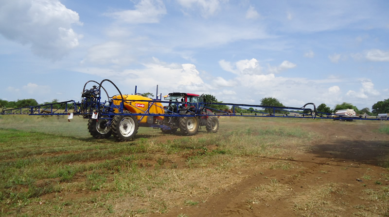 Sunflower weed control