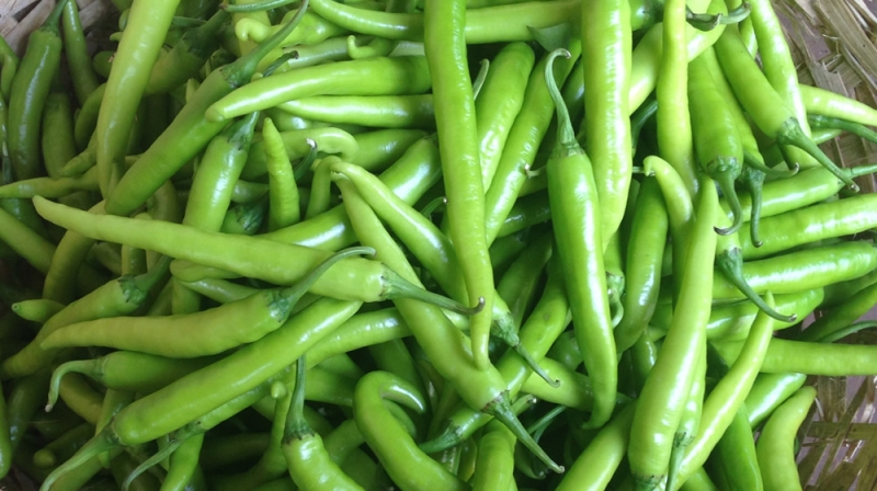 Cayenne slim, pili pili and habaneros: